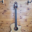 통기타(1년) 이미지