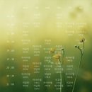 에이플러스2 이미지