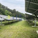 무성햇빛발전소 이미지