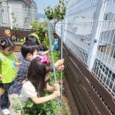 중림어린이집 이미지