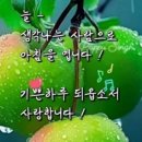7월11일 토요일 오늘의 책속의 한마디 이미지