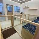 아르테 펫살롱 이미지