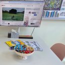 넘버원부동산중개사무소 이미지