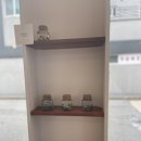 속초바다야 이미지