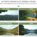 리포레 이미지