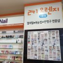 241오렌지