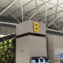 331 | [중국 베이징] ✈️인천↔베이징 OZ331,OZ336 탑승후기(기내식, 와이파이, 기종)