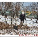 정기농장 이미지