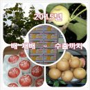 배골농장 이미지