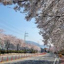 김해 드라이브 코스, 카페 달리아 분위기 좋은 로스터리 카페.