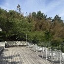 부산애견동반카페 프루터리포레스트 내돈내산 후기
