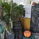 제주도해녀세자매 이미지