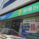 월배농협 본점 네이버블로그