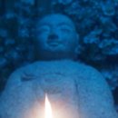 선기로-5 이미지