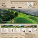 합천-북부-가야 비-02 | [국가유산 #11] 해인사와 가야의 고분군 (고령 지산동, 합천 옥전)
