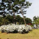 여행마을주 - 동구 서석로 13 | 여행마을주