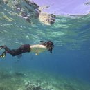 졸업맞이 세부여행⛱️