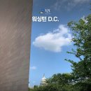 기념비 | [워싱턴 DC 여행기] 그랜드하얏트 워싱턴 후기, 워싱턴 기념비, 링컨 기념관부터 스미소니언까지 도보...