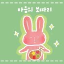 보따리정