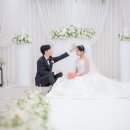 춘천세종관광호텔 | 춘천 결혼식] 춘천 세종호텔 본식스냅 후기입니다!!