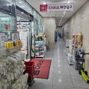 [다이소 원정대] 다이소 가락시장역점 방문 후기🫡 작은것 같지만 은근 커요!