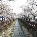 장수쌈밥 이미지