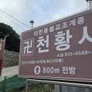 진주 정설 부부 묘 티스토리