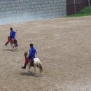 제주 더마파크 공연 영상 (2017.7.14-16) 이미지