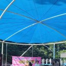 싱싱장구 이미지