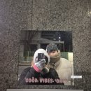[출산로그 2탄] 아산병원 출산후기 제왕절개 3박4일 입원