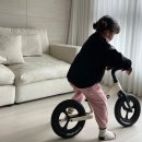 엄마가 선택한 이볼루션 velo pro 밸런스 바이크 사용후기
