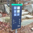 나인워시 동탄점 | 제천 포레스트 리솜 숙소 S25, 해브나인 스파 (예약,할인,준비물)