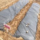 도전농장 이미지