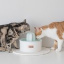 황금복권 이미지