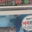 늘푸른청계농원 이미지