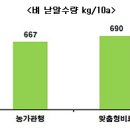 간척지 벼농사, 맞춤형 비료 사용시 토양검정 받아야 이미지