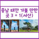 황명「분수·1」 | 충남 태안 가볼만한곳 3 + 1(서산)│팜카밀레(+몽산포...해미읍성│당일치기, 드라이브, 여행 후기 및 정보