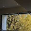 이대역 | 디저트 맛있는 이대역 카페드리옹 솔직후기 (주차정보)