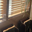 세븐일레븐 울산무거삼호점 | 울산 무거동밥집 삼호해장 매콤한 소목뼈찜에 반했자냐