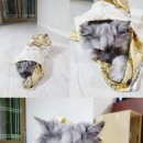 바디울천 이미지