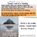 세렌디피터 이미지
