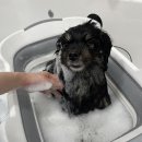 코트니룸 이미지