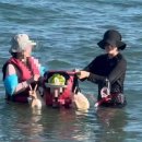 바바펜션민박 이미지