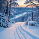 해피비해피펜션 이미지