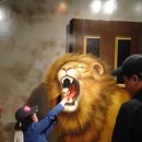 트릭아트뮤지엄 이미지