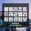드래곤밸리 이미지