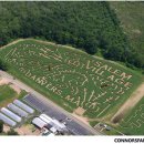 두이농장 이미지