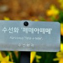 떼떼아떼떼