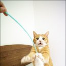 뽀송뽀송 이미지