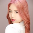 세진포토 이미지